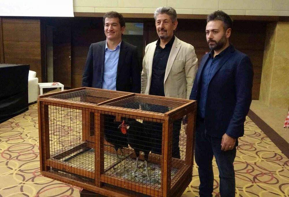 Yetiştirmesi 6 ay sürüyor, tanesi 3 bin 500 liradan alıcı buluyor