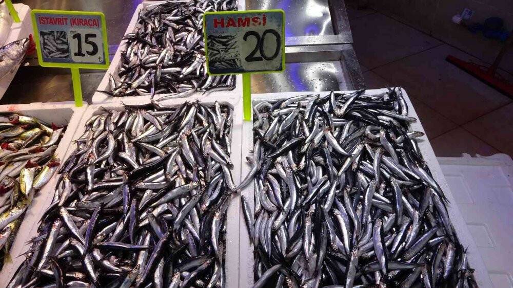 Palamut fiyatını ikiye katladı