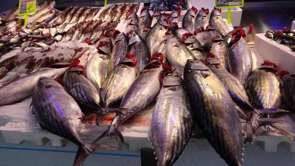 Palamut fiyatını ikiye katladı