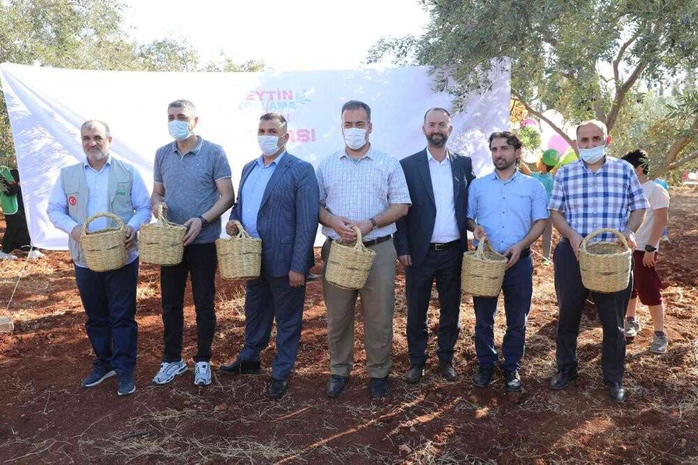 Suriyeli öğrenciler barış ve kardeşlik için zeytin topladı
