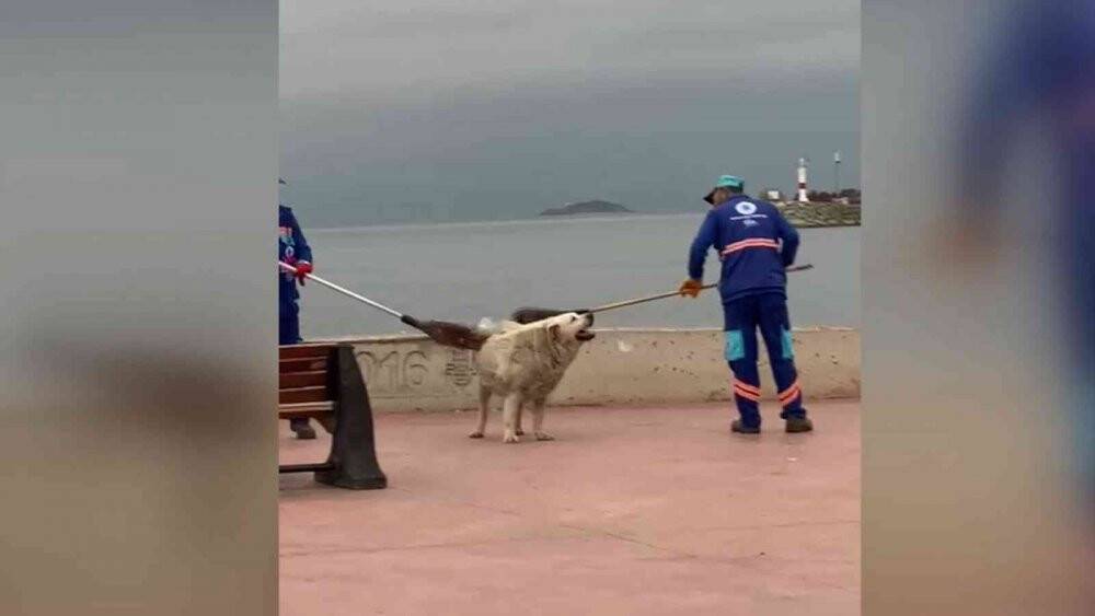 Tuzla’da temizlik personeli ve köpeğin yürekleri ısıtan görüntüsü