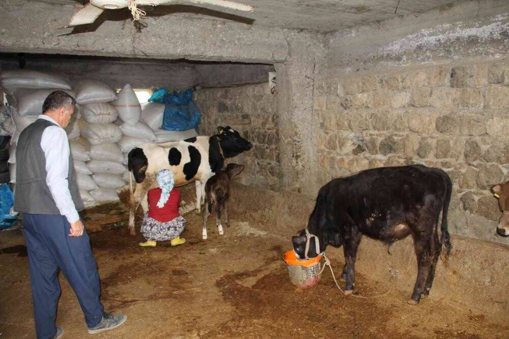 İneklerini satarak, 12 yılda 5 kıtada 37 ülke ve 86 şehir gezdi