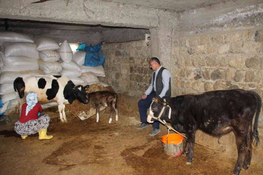 İneklerini satarak, 12 yılda 5 kıtada 37 ülke ve 86 şehir gezdi