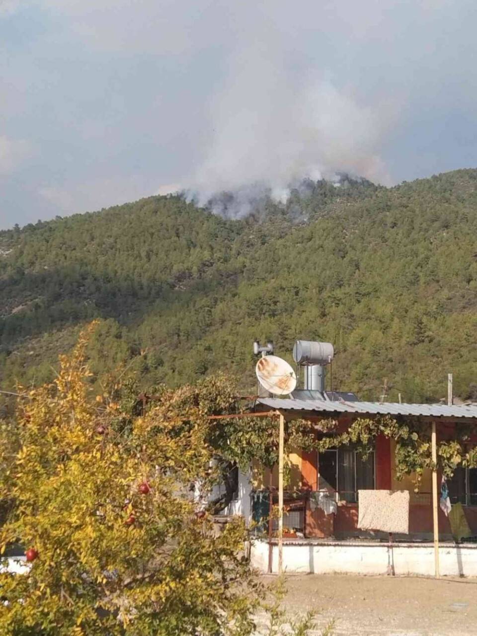 Manavgat’taki orman yangını kontrol altına alındı