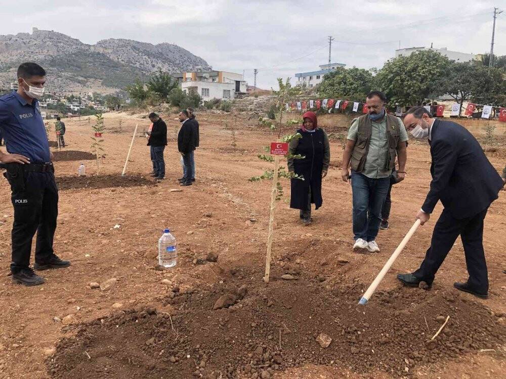 Kozanlı 69 şehidin adına harnup fidanı dikildi