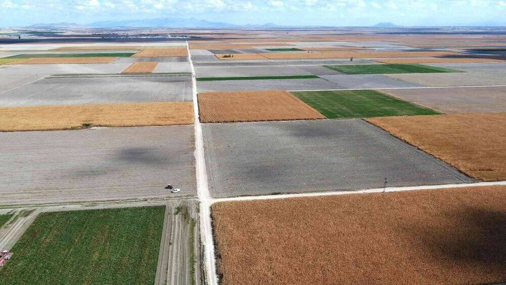 Konya’da toplulaştırma çalışmaları devam ediyor