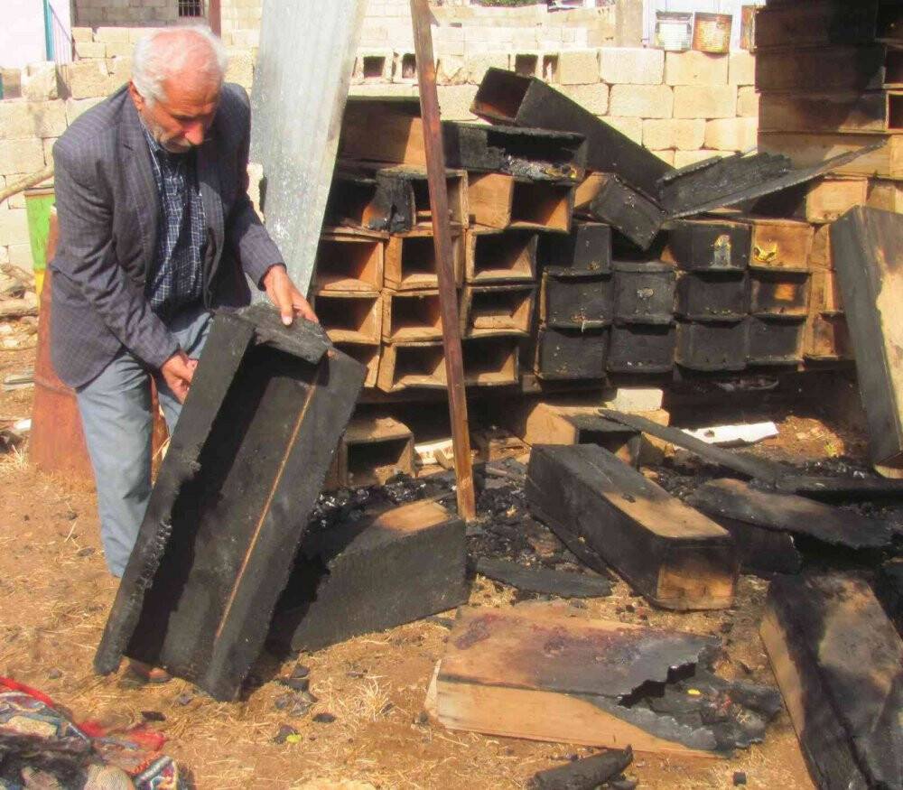 25 arı kovanı yandı binlerce arı telef oldu