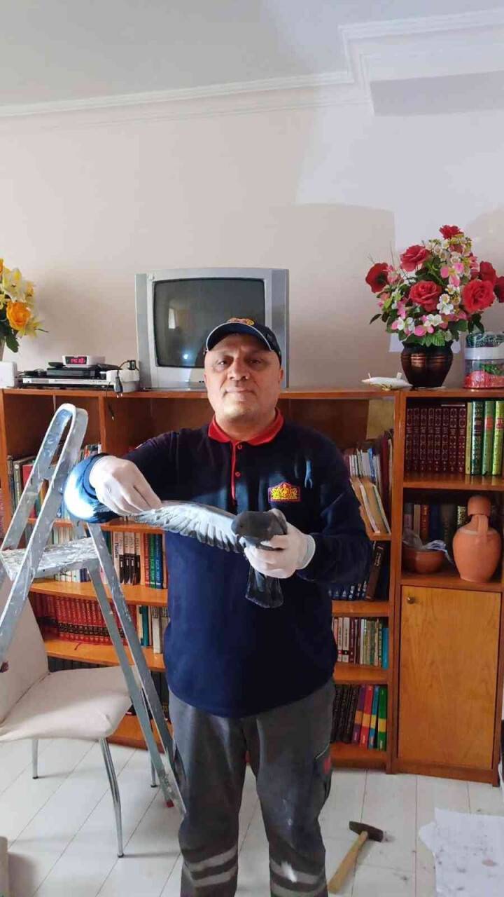 Baca deliğine sıkışan güvercini itfaiye kurtardı