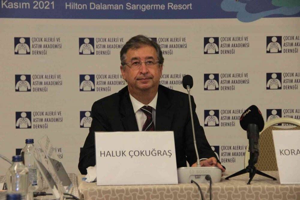 Modern ve konforlu yaşamın alerji yaptığı ortaya çıktı
