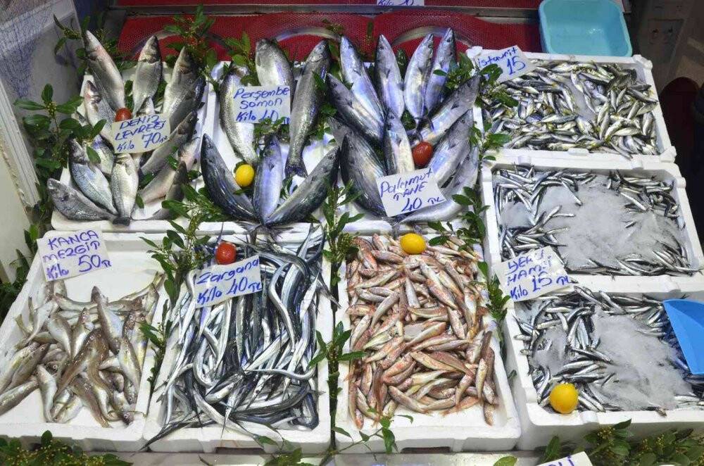 Ordu’da palamut 40 lira