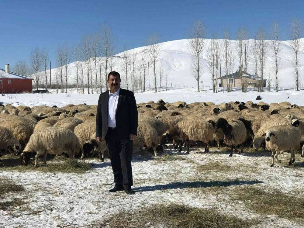 TÜDKİYEB Genel Başkanı Çelik: Kış aylarına mahsus yem desteği artırılmalıdır