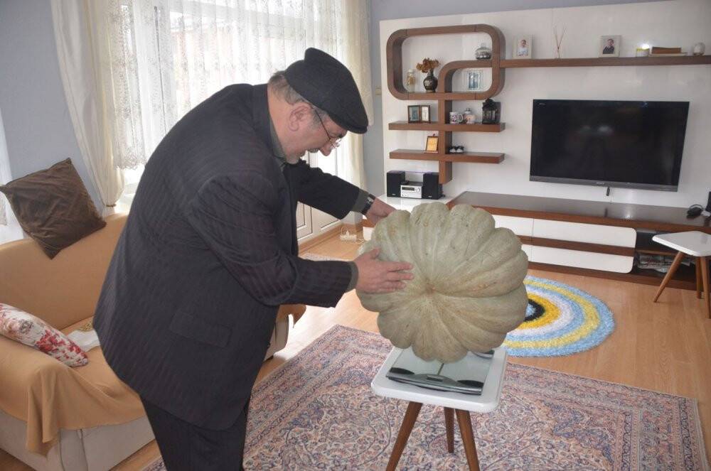 Yaklaşık 60 kilo ağırlığında bal kabağı yetiştirdi