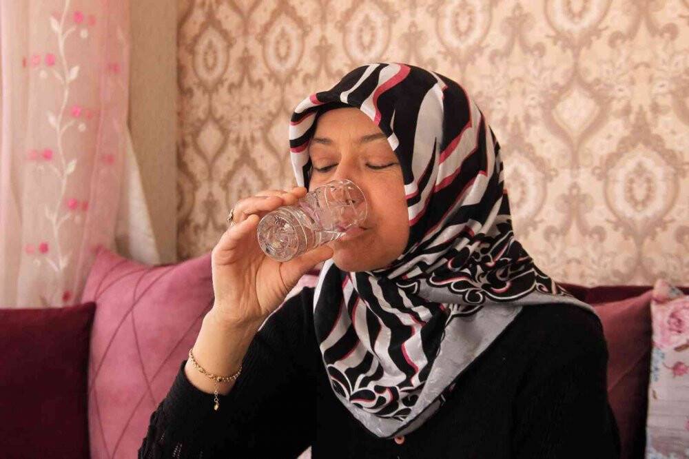 Abisinin böbreğiyle hayata tutundu
