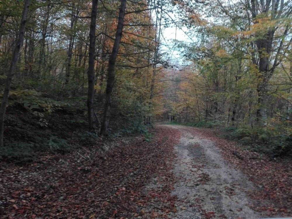 Ordu’da sonbahar güzelliği