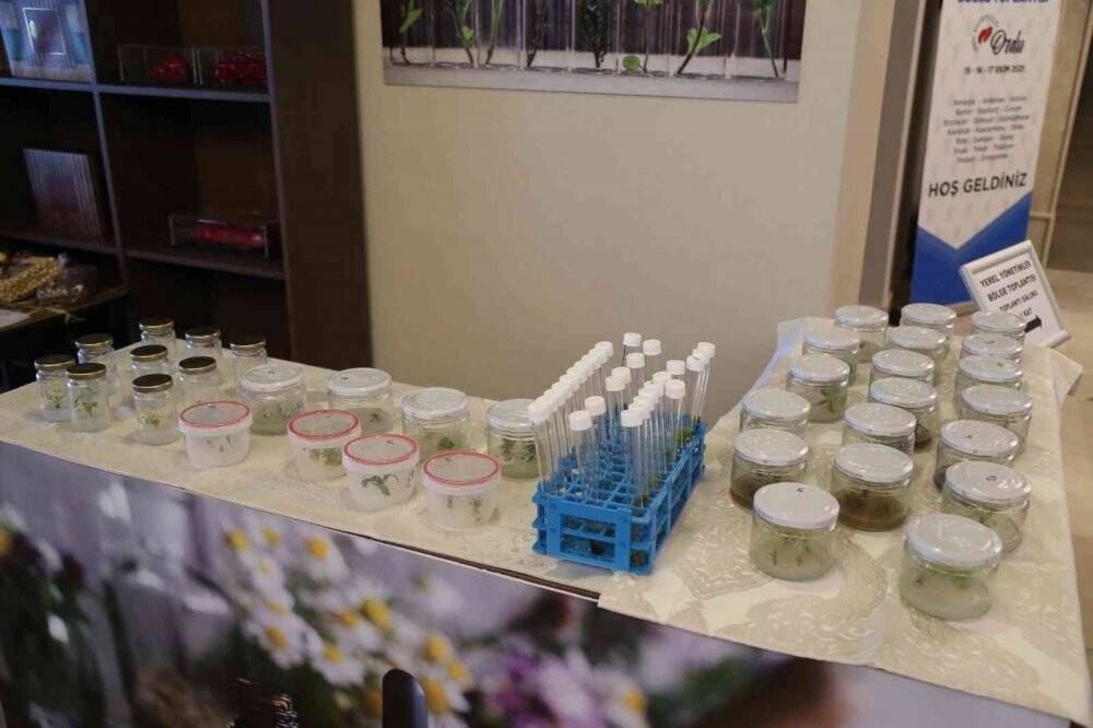 Tarımda çığır açan çalışma