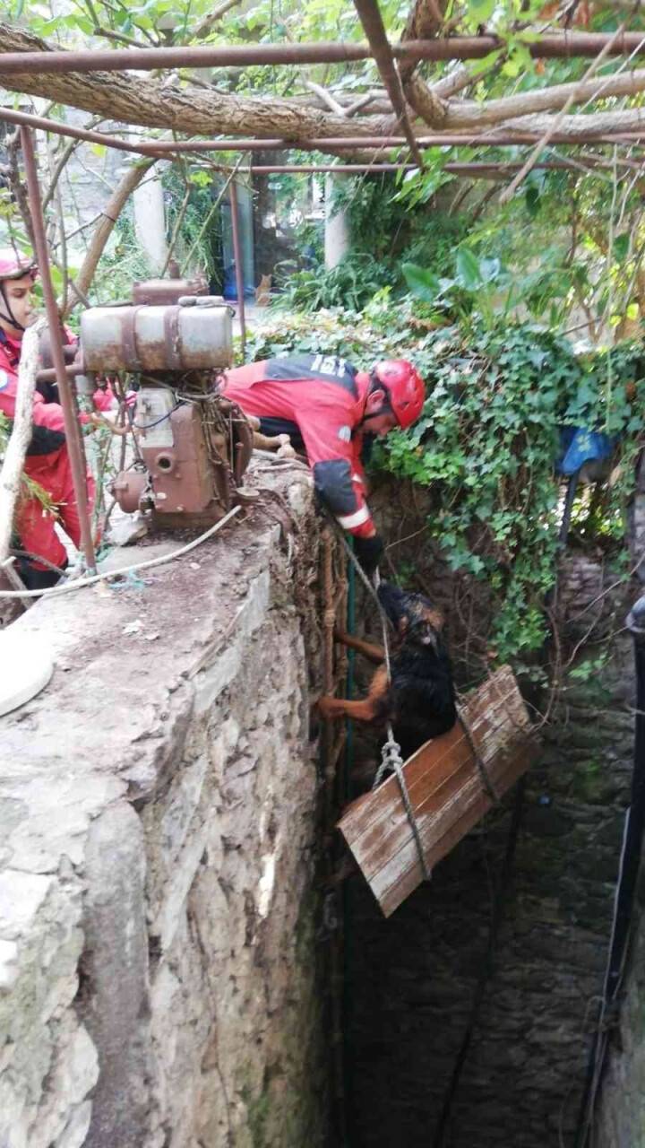 Kuyuya düşen köpeği itfaiye kurtardı