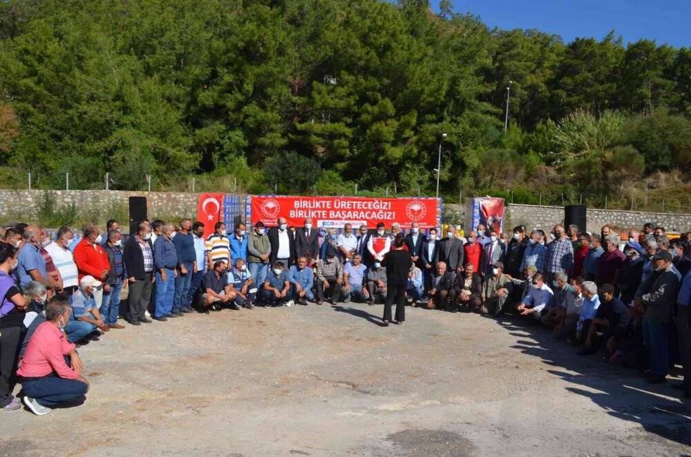 Muğla’da yangınlarda zarar gören arıcılara arı yemi desteği