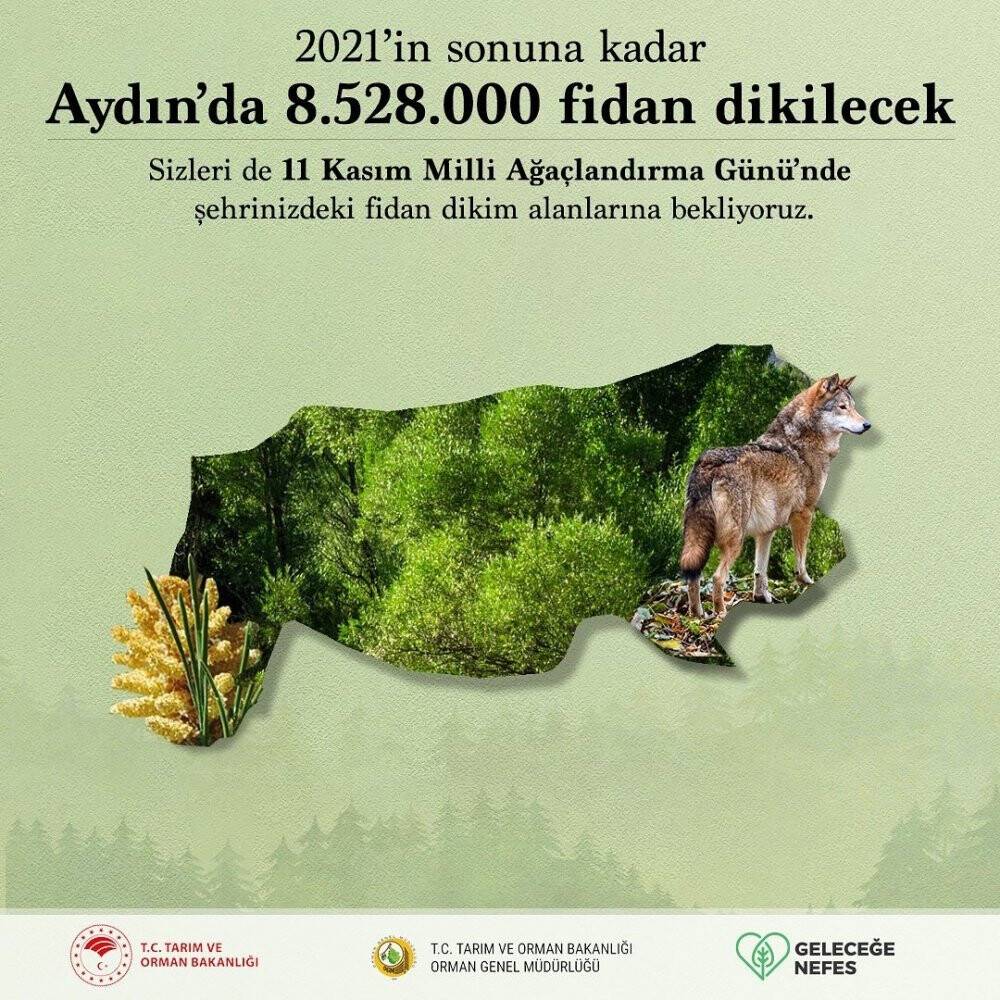Aydın’da 8 milyon fidan dikilecek