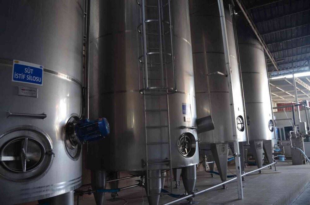 En modern süt toplama ağı Denizli’ye kuruluyor