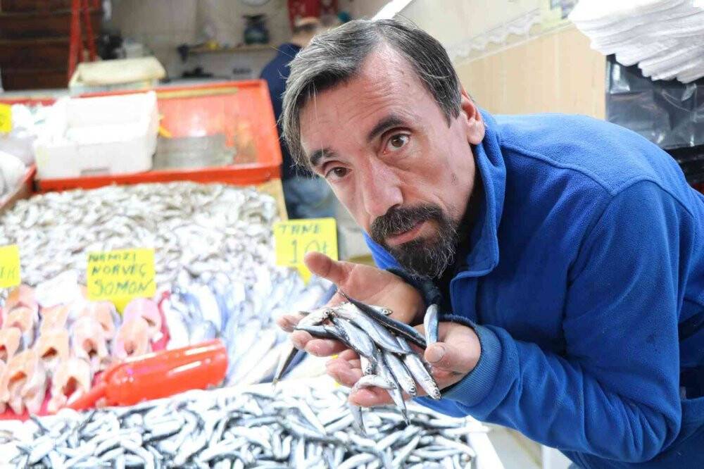 Karadeniz’deki hamsi bolluğu Samsun’daki fiyatlara yansımıyor