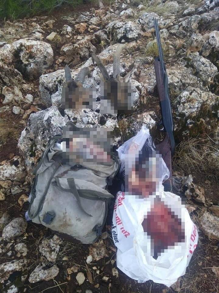 Mersin’de yaban keçisi avlayan kaçak avcıya 122 bin 224 lira ceza