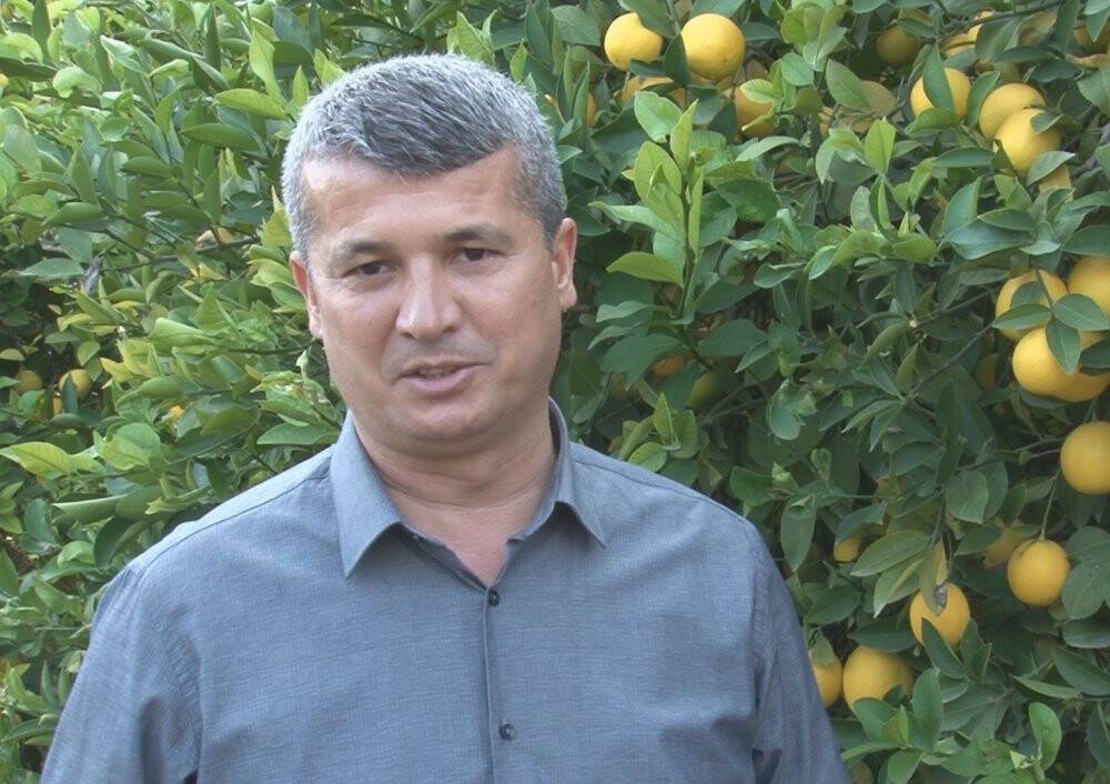 Mersin’den 60 ülkeye limon ihracatı