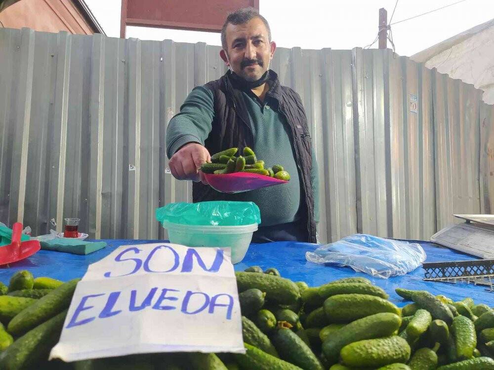 Antioksidan kaynağı son kornişonlar kapışılıyor