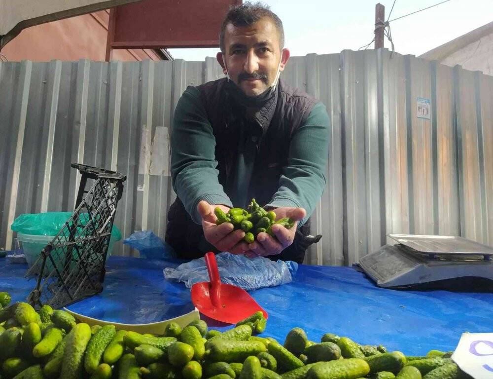 Antioksidan kaynağı son kornişonlar kapışılıyor