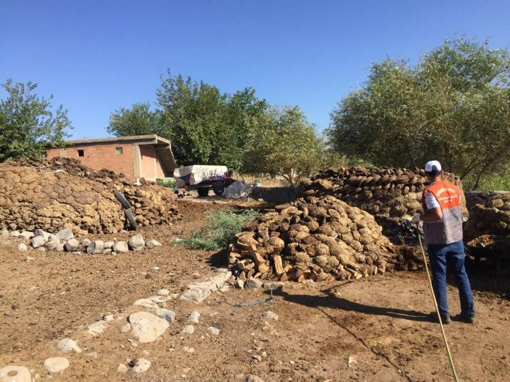 Karasinek üreme alanları ilaçlanıyor