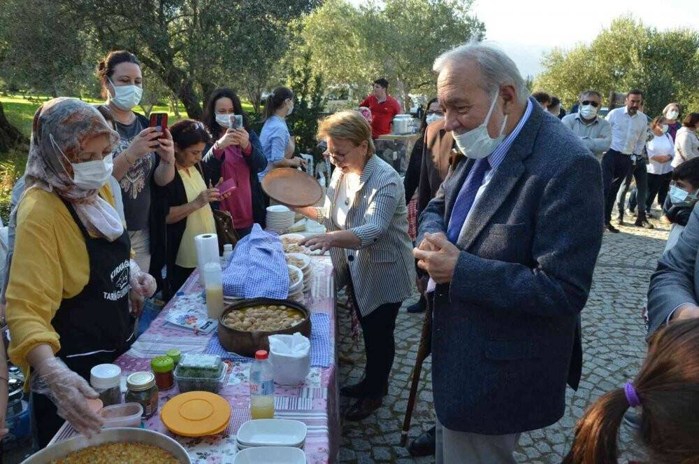 Prof. Dr. Ortaylı Kırkağaç’ta kendi zeytinini hasat etti