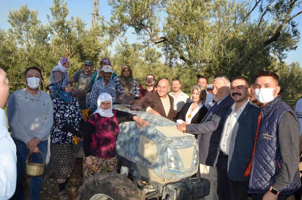 Prof. Dr. Ortaylı Kırkağaç’ta kendi zeytinini hasat etti