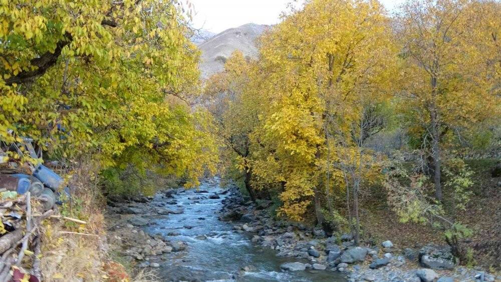 Yüksekova’da sonbahar güzelliği