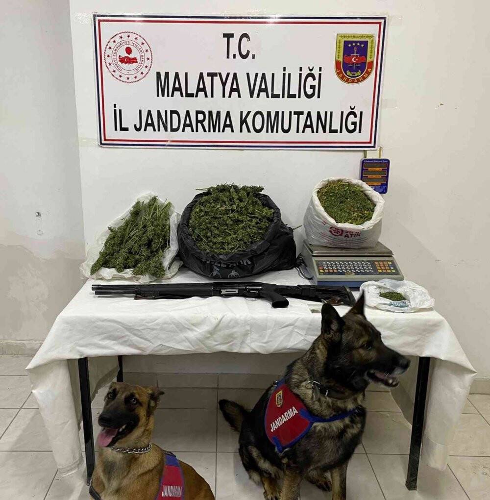 Malatya’da jandarmadan silah ve uyuşturucu operasyonu
