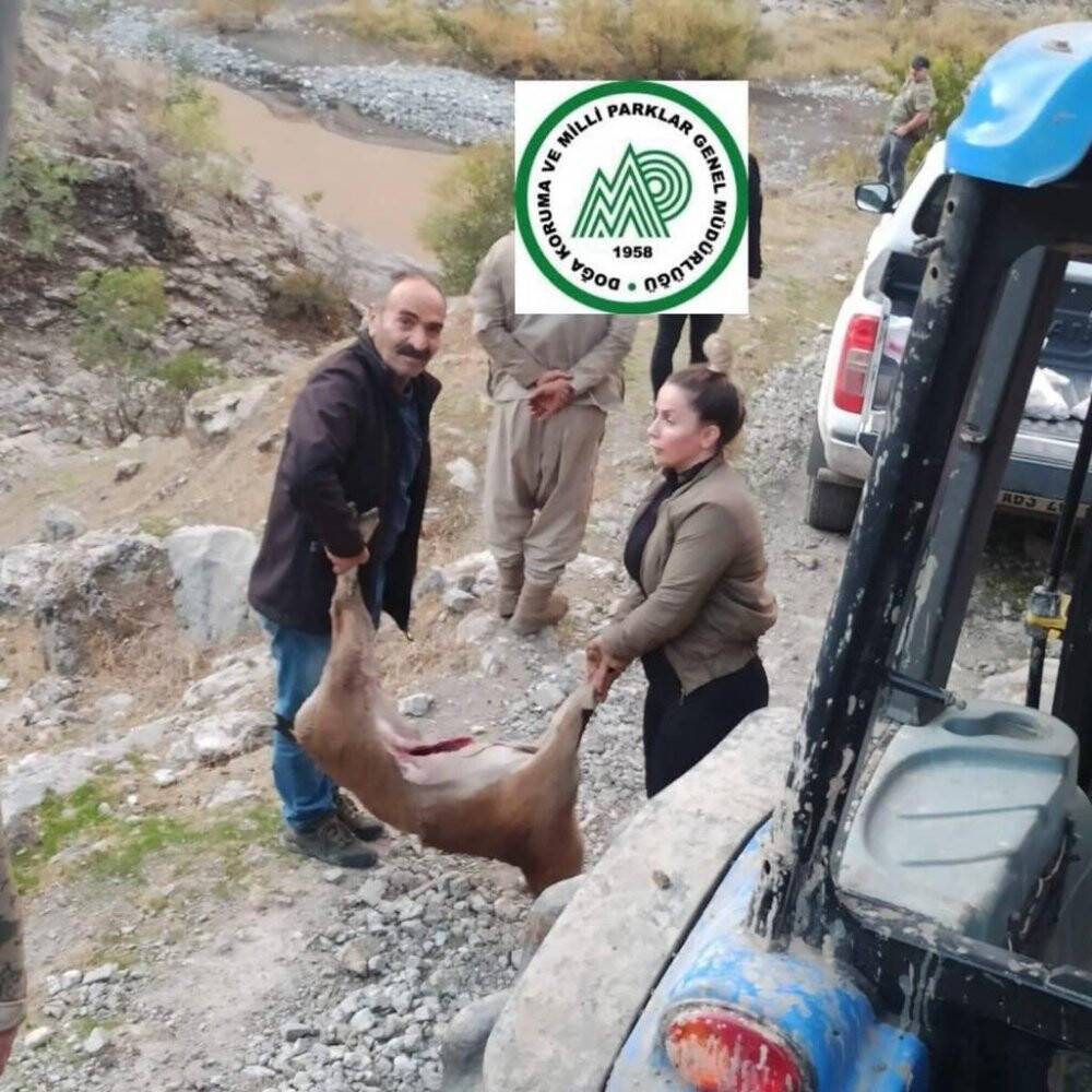 Uludere’de yasa dışı avlanan iki şahsa 185 bin liralık ceza