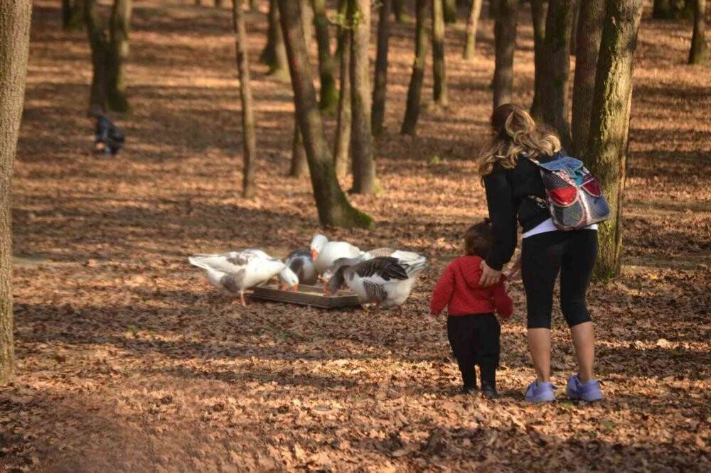 Sonbaharı yaşamak isteyen oraya koşuyor