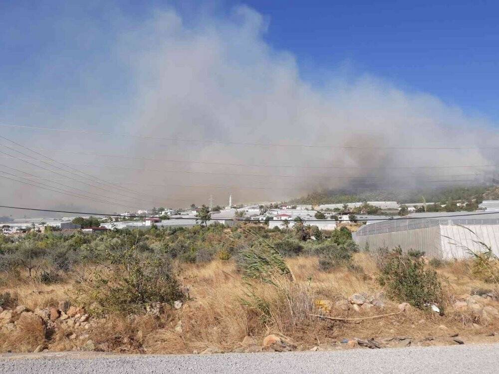 Mersin'de orman yangını: Müdahale ediliyor