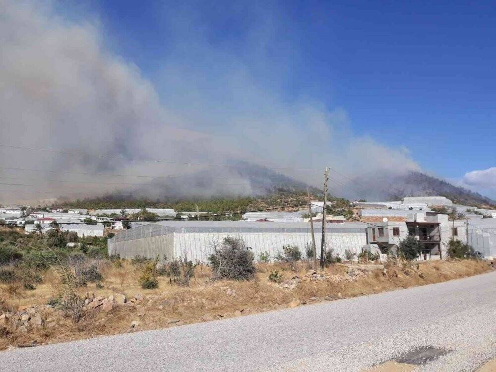 Mersin'de orman yangını: Müdahale ediliyor