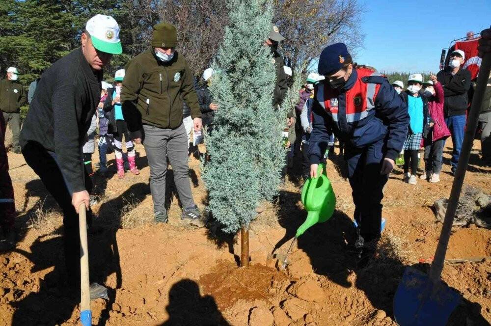 Akşehir’de 800 fidan toprakla buluşturuldu