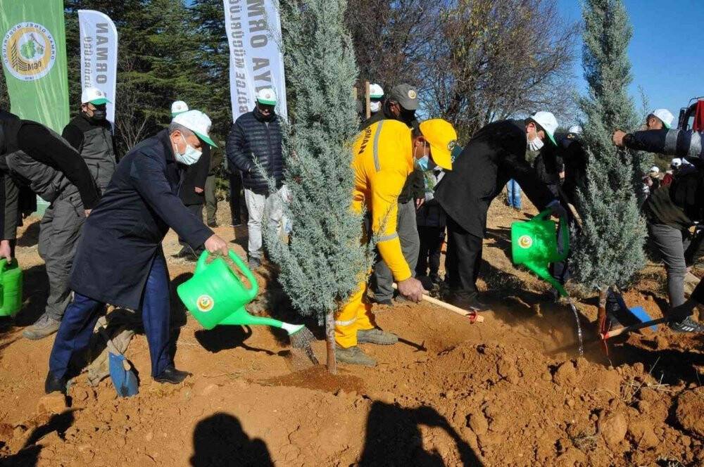 Akşehir’de 800 fidan toprakla buluşturuldu