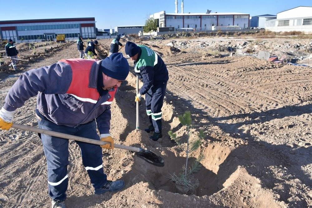 Başkan Kılca "Milli Ağaçlandırma Günü"nde fidan dikti