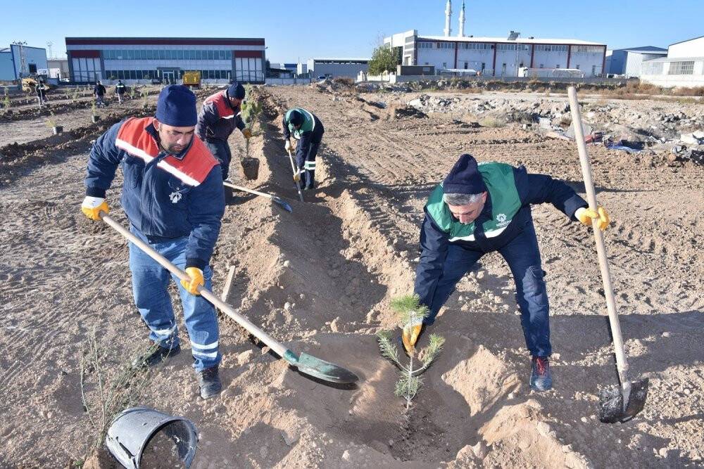Başkan Kılca "Milli Ağaçlandırma Günü"nde fidan dikti