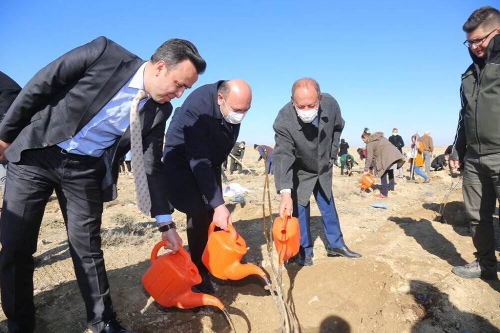 Ereğli’de binlerce fidan toprakla buluştu