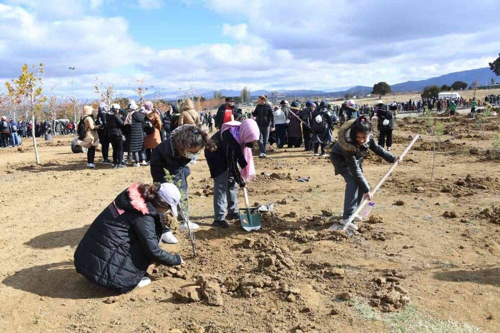 Konya büyükşehir Belediyesi 5 bin fidanı toprakla buluşturdu