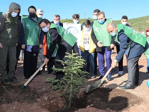 Körfez’de 5 bin fidan dikildi