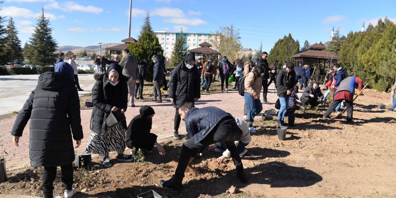 ktunde-11-kasim-milli-agaclandirma-gunu-etkinligi-4.jpeg