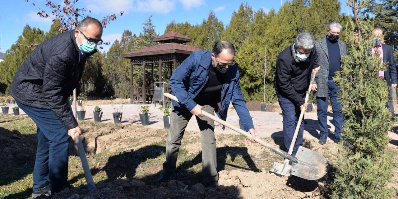 ktunde-11-kasim-milli-agaclandirma-gunu-etkinligi-8.jpeg