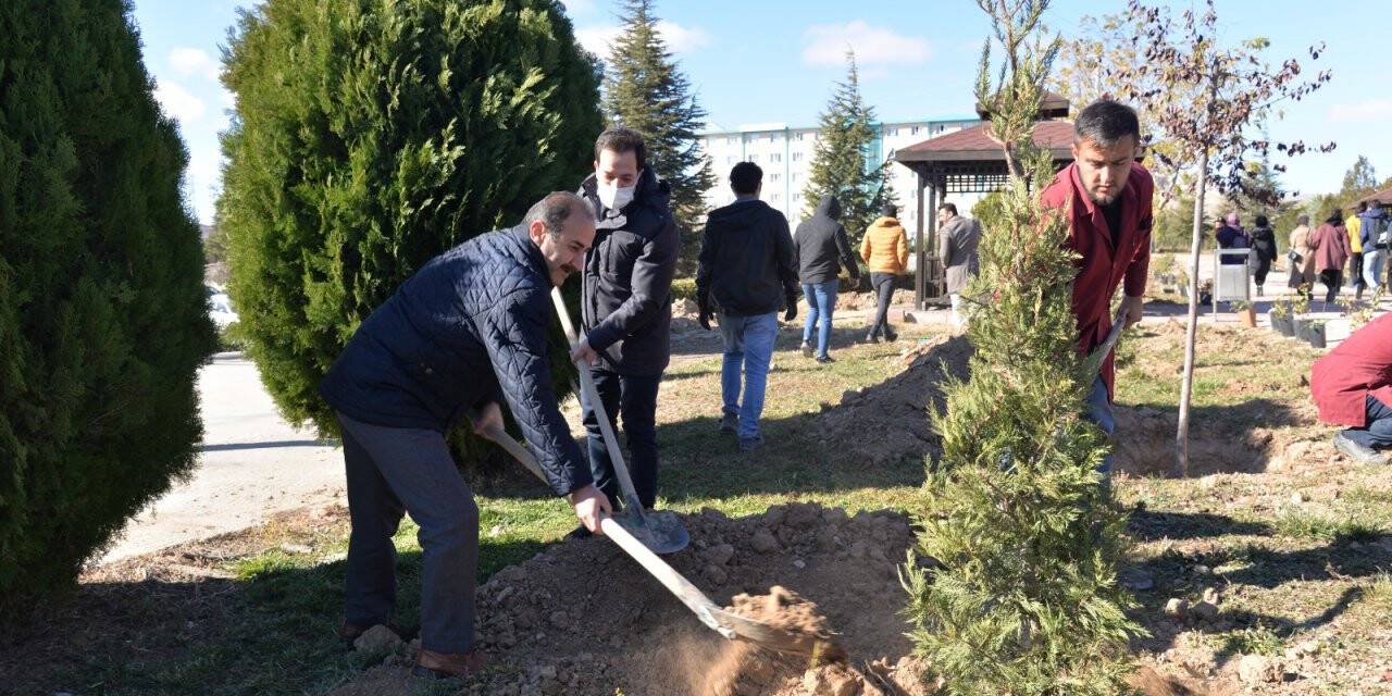 ktunde-11-kasim-milli-agaclandirma-gunu-etkinligi-9.jpeg