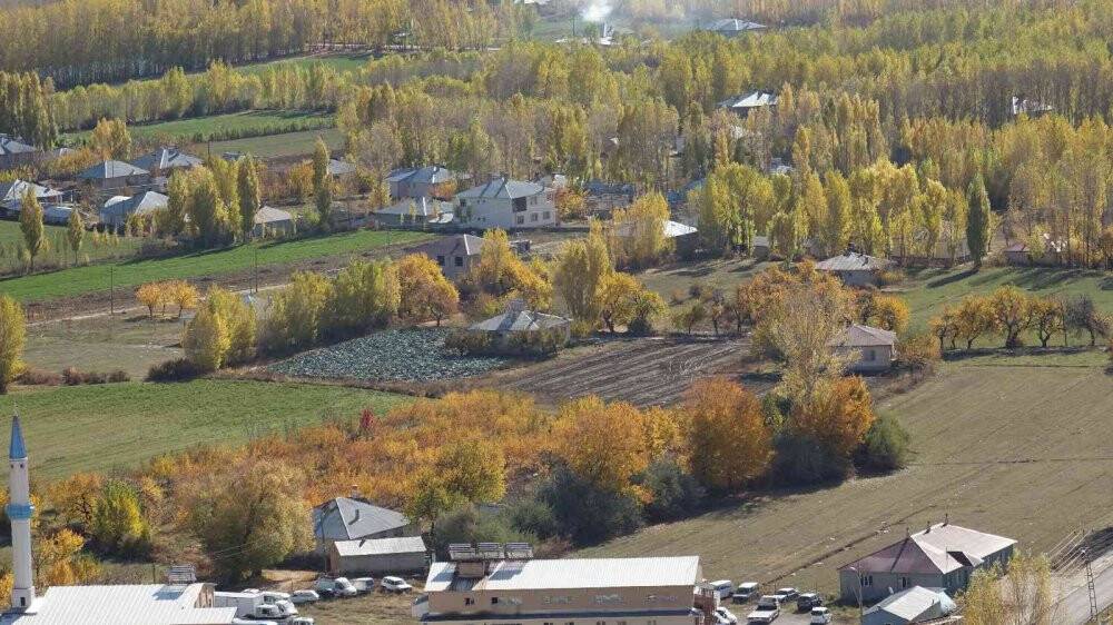 Erciş’te sonbahar manzaraları göz kamaştırıyor