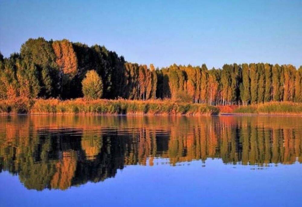 Erciş’te sonbahar manzaraları göz kamaştırıyor