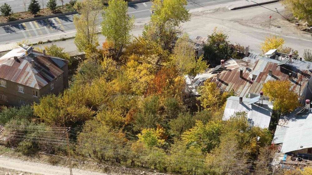 Erciş’te sonbahar manzaraları göz kamaştırıyor